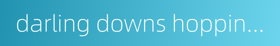 darling downs hopping mouse的同义词