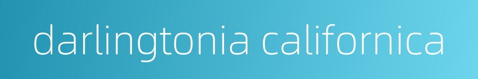 darlingtonia californica的同义词
