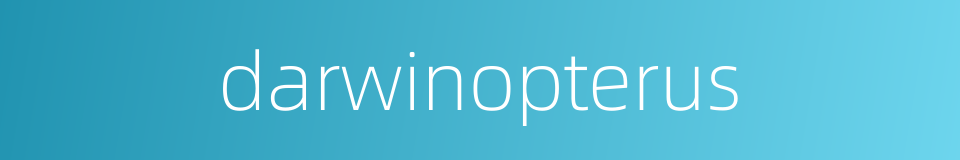 darwinopterus的同义词