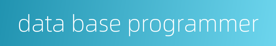 data base programmer的同义词