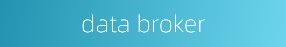 data broker的同义词