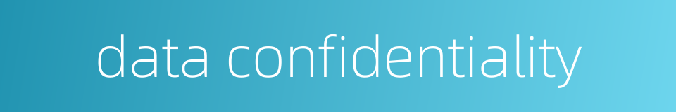 data confidentiality的同义词