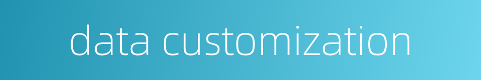 data customization的同义词
