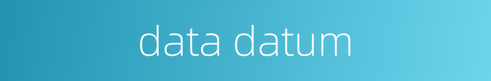 data datum的同义词