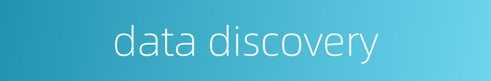 data discovery的同义词