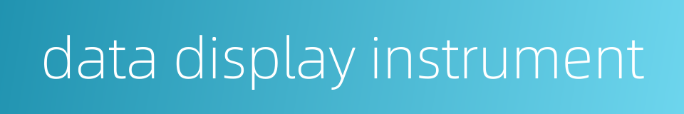 data display instrument的同义词