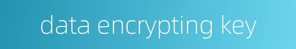 data encrypting key的同义词