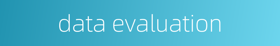 data evaluation的同义词