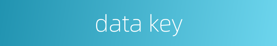 data key的同义词