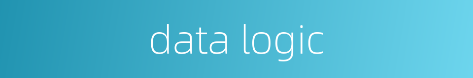 data logic的同义词