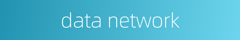 data network的同义词