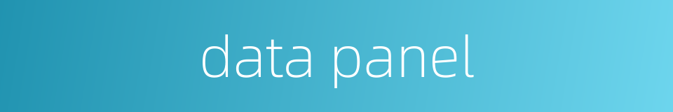 data panel的同义词