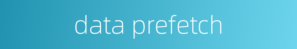 data prefetch的同义词