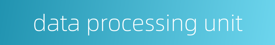 data processing unit的同义词