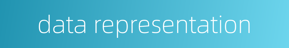data representation的同义词