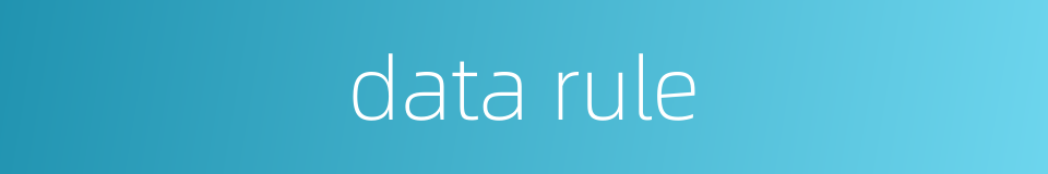 data rule的同义词