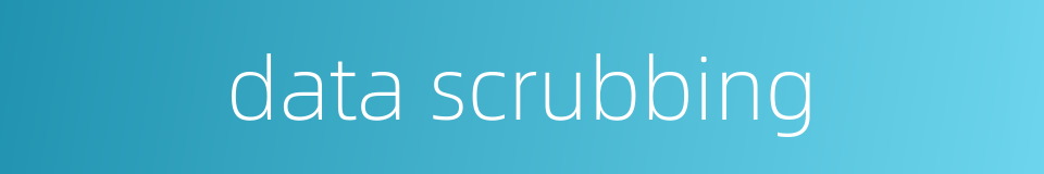 data scrubbing的同义词