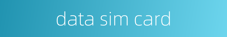 data sim card的同义词
