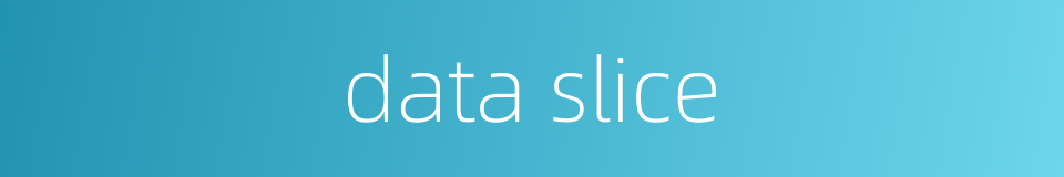 data slice的同义词