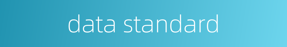 data standard的同义词