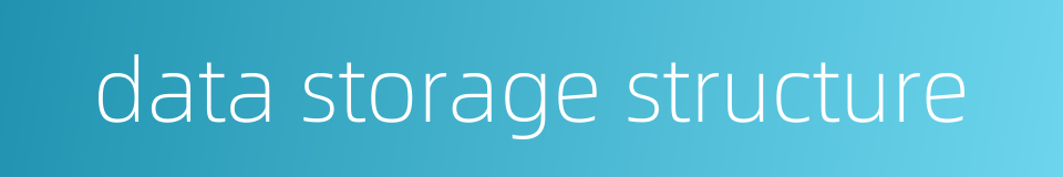 data storage structure的同义词