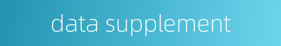 data supplement的同义词