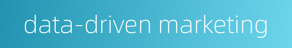 data-driven marketing的同义词