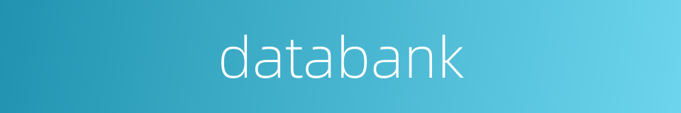 databank的同义词