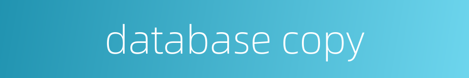 database copy的同义词