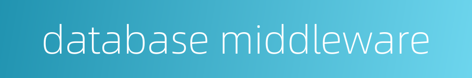 database middleware的同义词