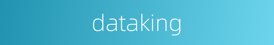 dataking的同义词