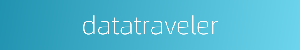 datatraveler的同义词