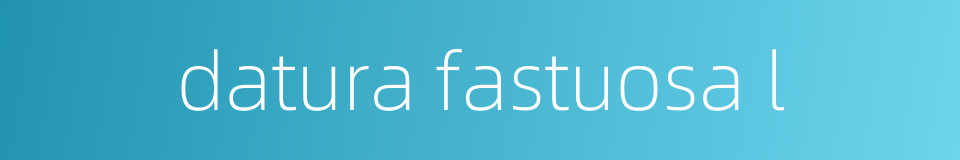 datura fastuosa l的同义词