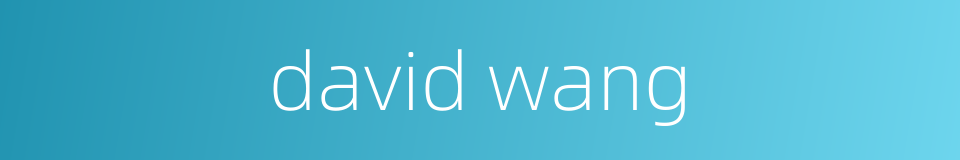 david wang的同义词