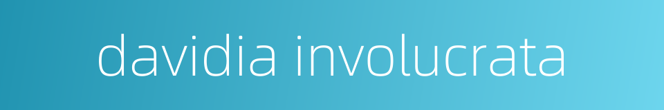 davidia involucrata的同义词
