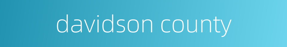 davidson county的同义词