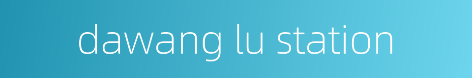 dawang lu station的同义词