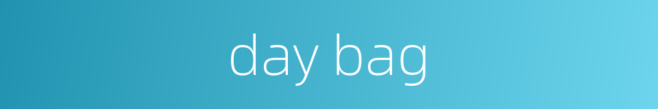 day bag的同义词