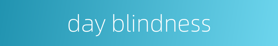day blindness的同义词