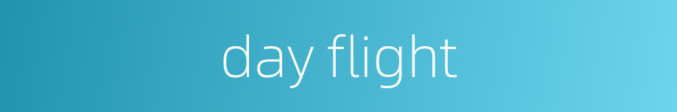 day flight的同义词