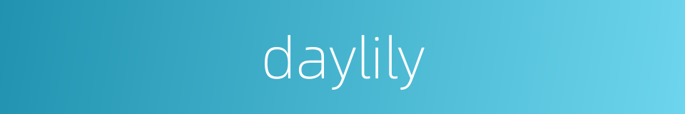 daylily的同义词