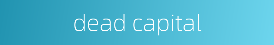 dead capital的同义词