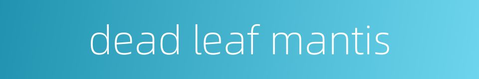 dead leaf mantis的同义词