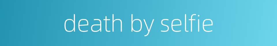 death by selfie的同义词