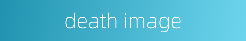death image的同义词