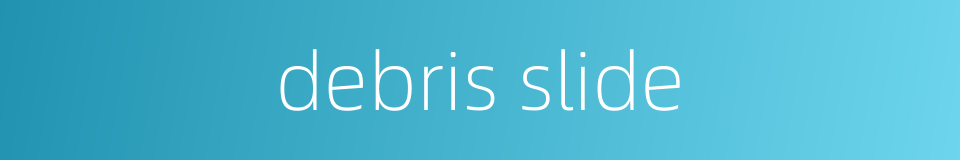 debris slide的同义词