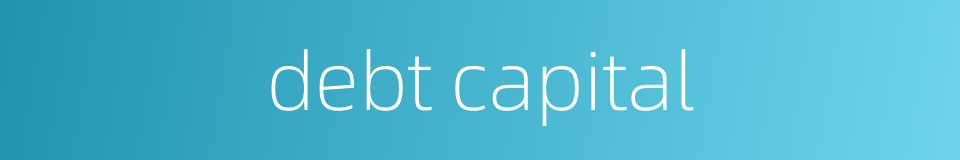 debt capital的同义词
