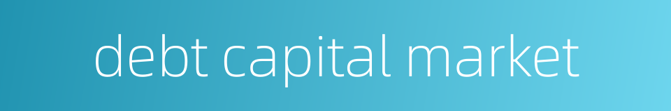 debt capital market的同义词