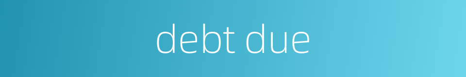 debt due的同义词