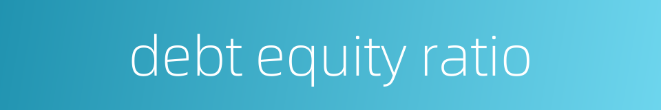 debt equity ratio的同义词